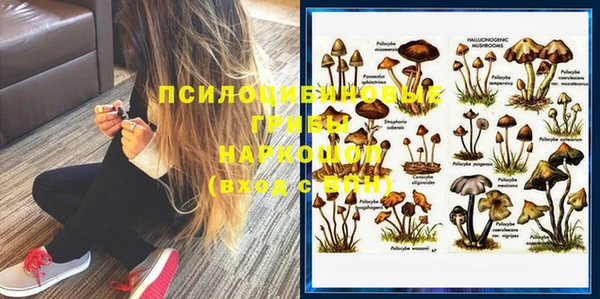 гашик Алзамай