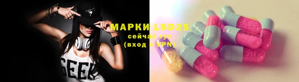 гашик Алзамай