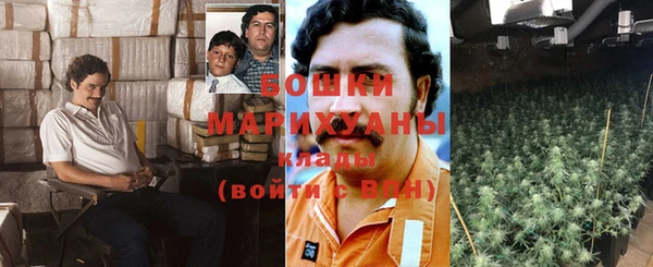 прущие грибы Абинск